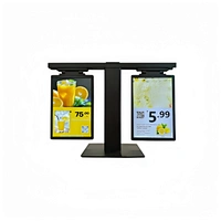10.1-inch e-paper display